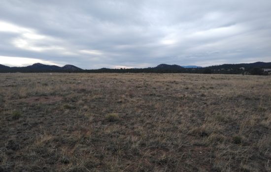 Build Your Off-Grid, Rural Homestead – 2.5 Acres Fremont County, CO