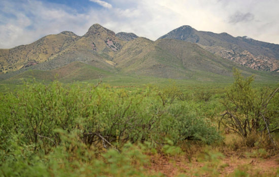 Have 5-acre Sunsite Ranch Your Way- Cochise County, AZ