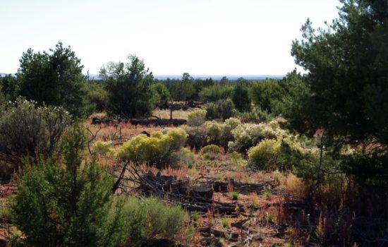 36 Acres in South Rim Ranches – Near Grand Canyon