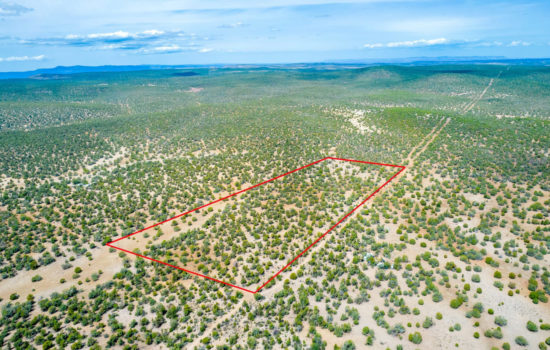 Heavily Treed 36 Acres – Private and Rural w/ Electricity!!! -Mohave County