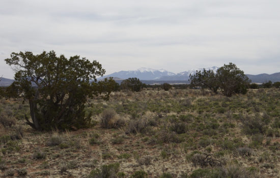 Off-Grid Homesite Gorgeous Mountain Views near Grand Canyon