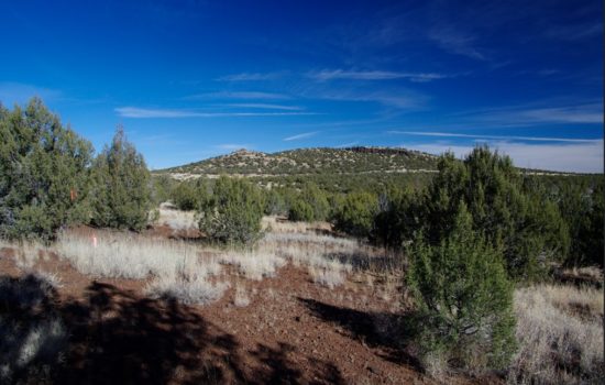 Off-Grid Land with Mountain Views-On the Doorstep of Kaibab National Forest