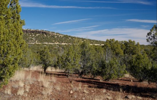 On the Doorstep of Kaibab National Forest – 3 Acres Off-Grid Land