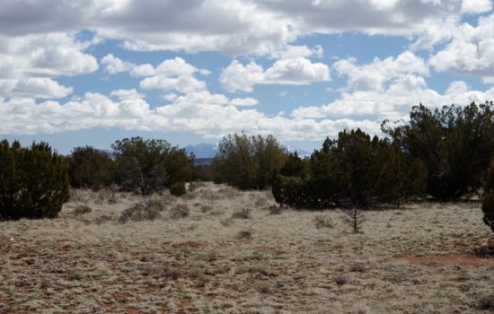 Experience Off-Grid Living: Land near The Grand Canyon