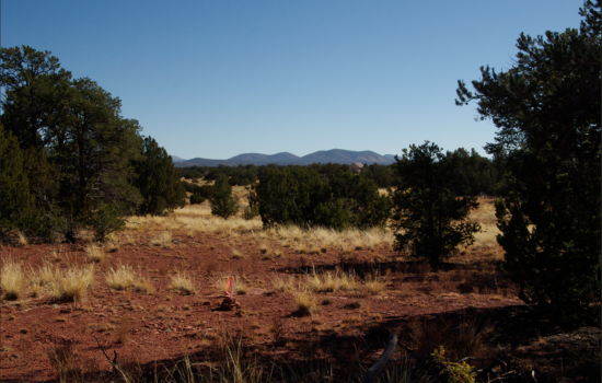 Weekend Getaway: Off-Grid Land near Grand Canyon with Trees and Mountain Views