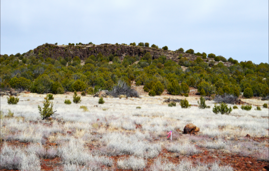 Escape to Solitude: Off-Grid Paradise on the Doorstep of Kaibab National Forest