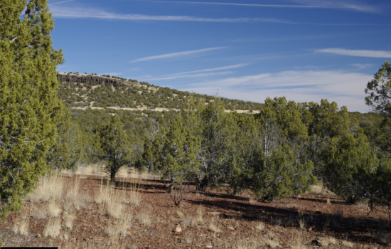 Nature’s Hideaway: Secluded Acreage in the Heart of Kaibab National Forest