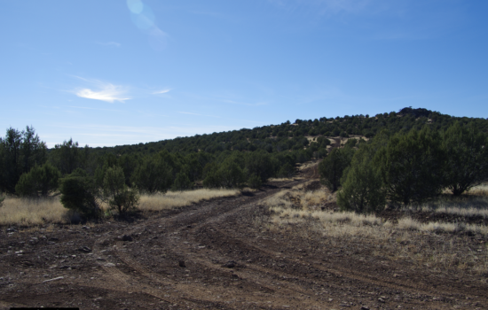 Escape to Solitude: Off-Grid Paradise on the Doorstep of Kaibab National Forest