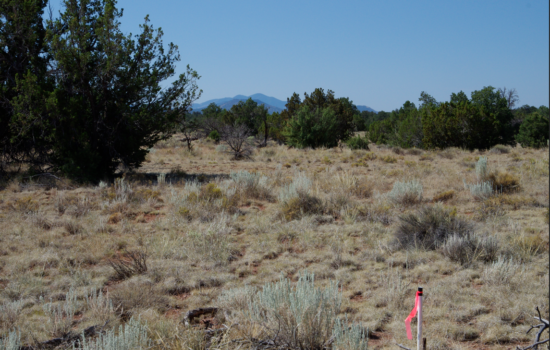 Reconnect with Nature: Off-Grid Living Near the Grand Canyon