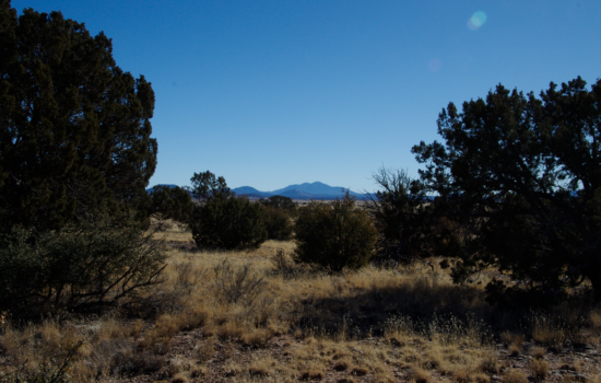 Stunning 5 Acres with Breathtaking Mountain Views: Land near Grand Canyon